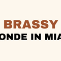 How to fix brassy blonde hair at lahh salon, Bay Harbor Islands FL.