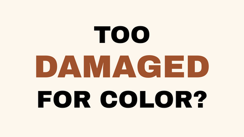 Hair damage assessment for coloring at lahh salon, Bay Harbor Islands FL.