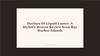Davines OI Liquid Luster: A Stylist’s Honest Review from Bay Harbor Islands at LAHH Salon, Bay Harbor Islands
