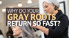 Why Do Your Gray Roots Return So Fast