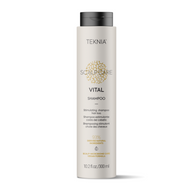 Lakme Scalp Care Vital Stimulating Shampoo by Lakme | LAHH Salon, Bay Harbor Islands, FL